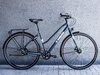 Trek District 3 EQ Stagger M Dark Aquatic